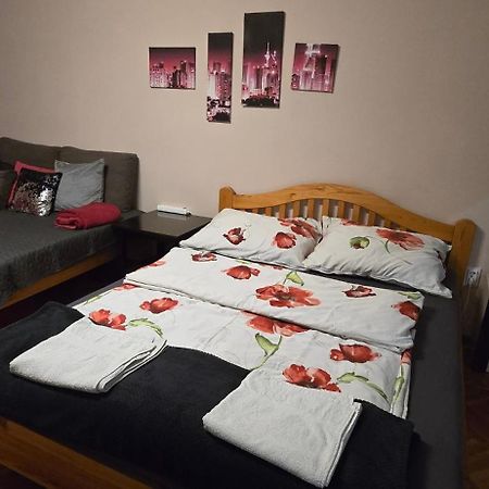 FREE PARKING - Tisza-parti Napfény Apartman Szeged Kültér fotó