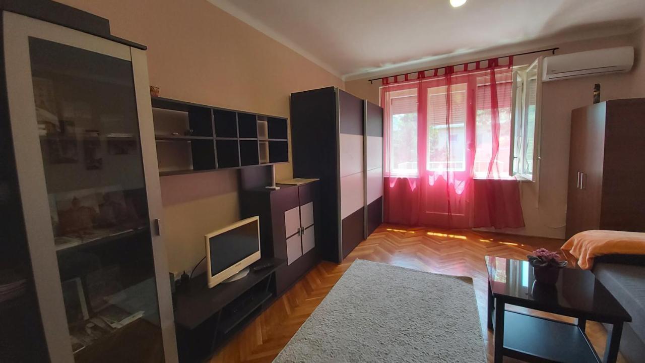 FREE PARKING - Tisza-parti Napfény Apartman Szeged Kültér fotó